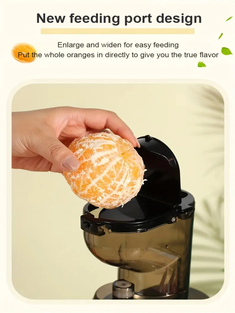 GoSmoothie Pro Juicer