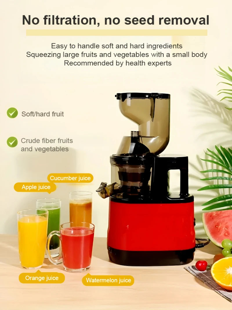 GoSmoothie Pro Juicer