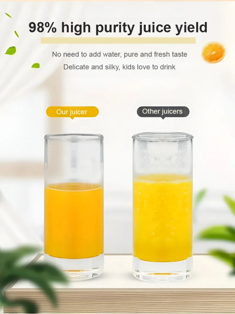 GoSmoothie Pro Juicer
