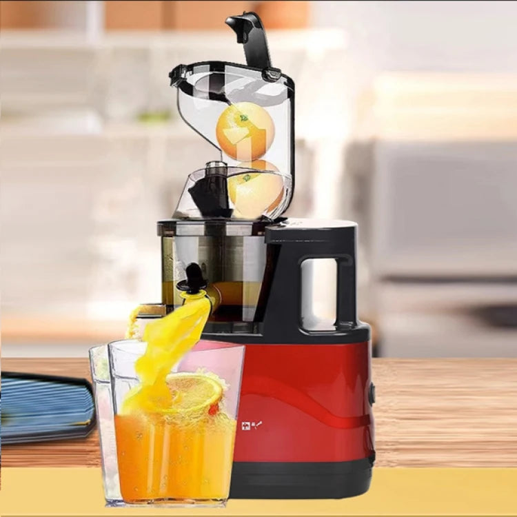 GoSmoothie Pro Juicer
