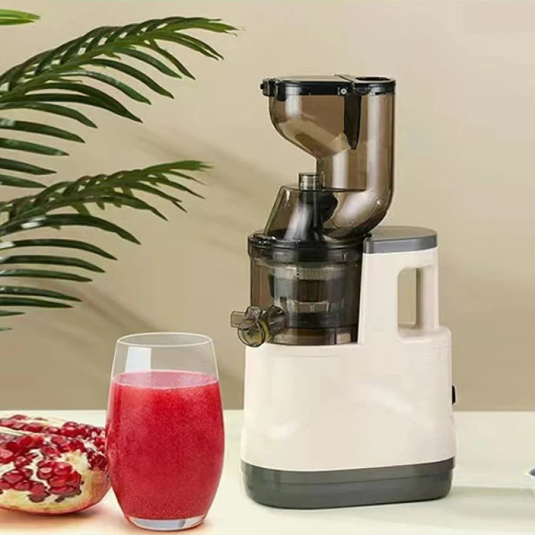 GoSmoothie Pro Juicer