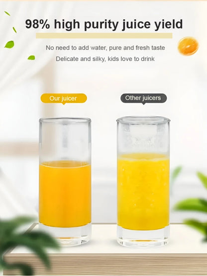 GoSmoothie Pro Juicer
