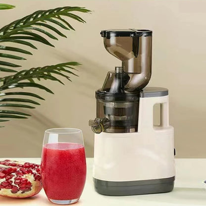 GoSmoothie Pro Juicer